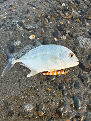 浜岡海岸