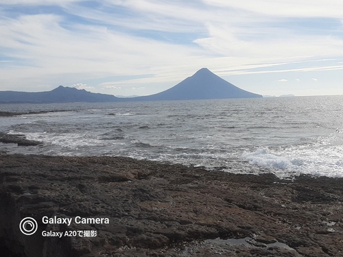 カマスの釣果