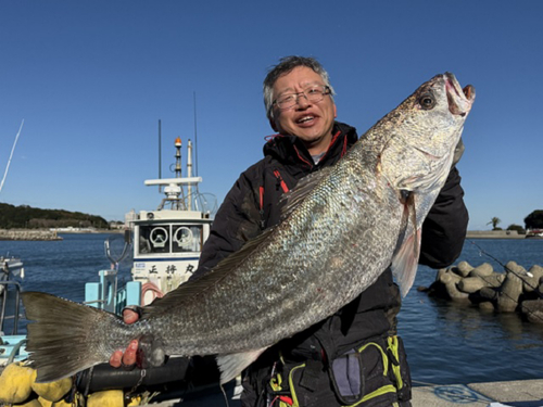 オオニベの釣果