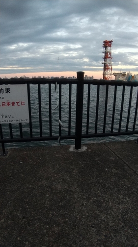 若洲海浜公園海釣り施設