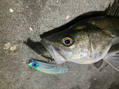 中浜名湖