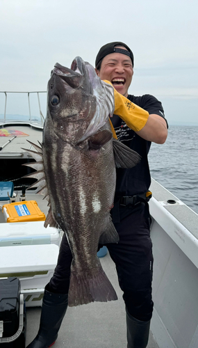 イシナギの釣果