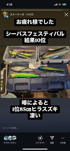 シーバスの釣果