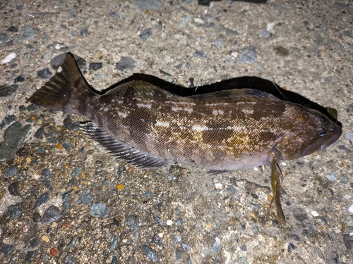 三陸海岸（青森）