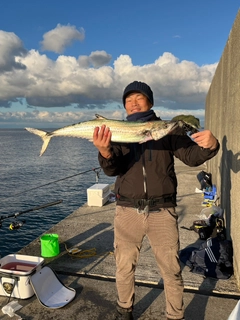 サワラの釣果