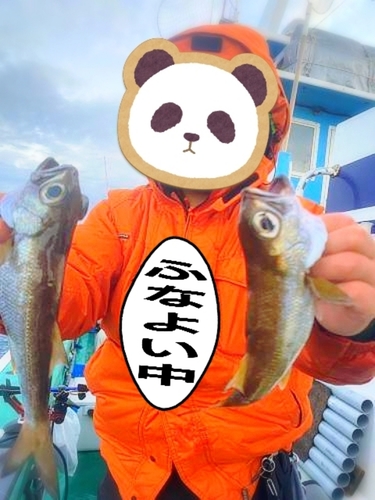 クロムツの釣果