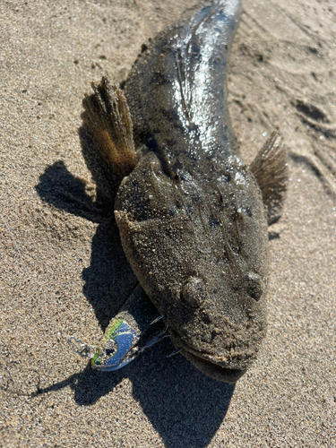 伊勢湾湾奥