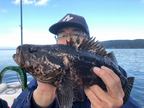 ベッコウゾイの釣果