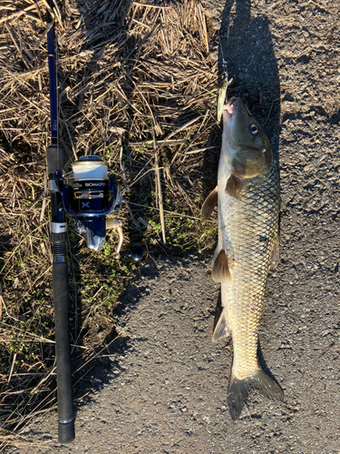 釣果