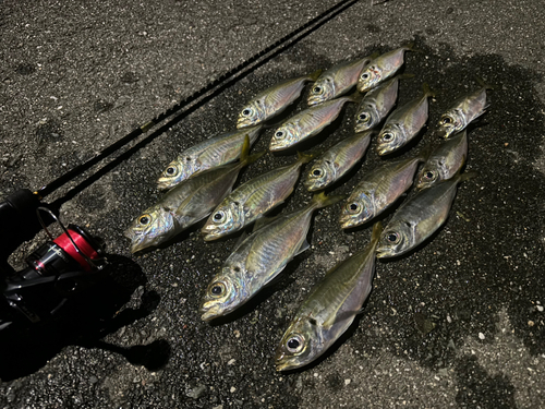 表浜名湖