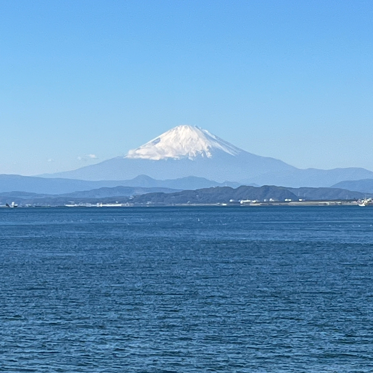 タカノハダイ