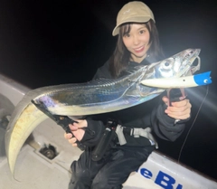 タチウオの釣果