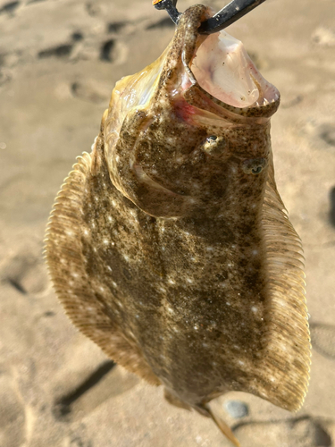 志賀島