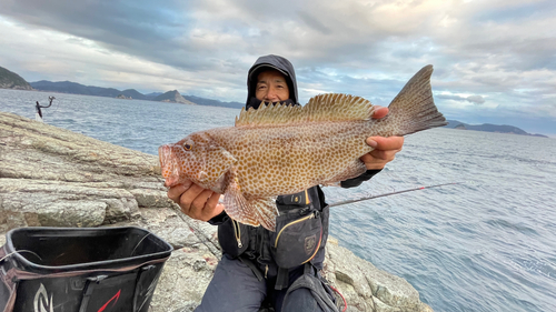 オオモンハタの釣果