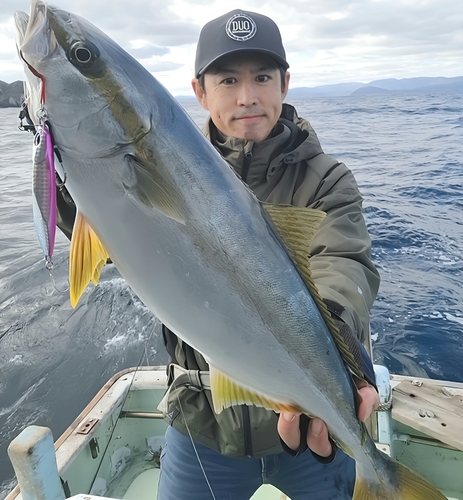 ヒラマサの釣果