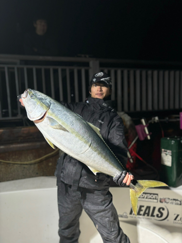 ブリの釣果