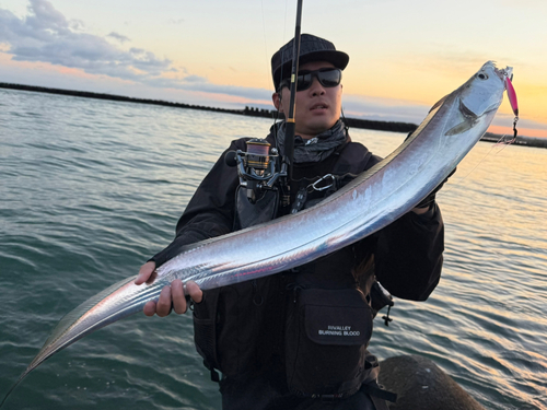 タチウオの釣果