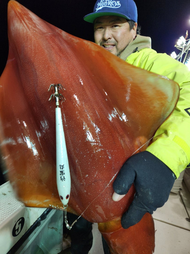 ソデイカの釣果