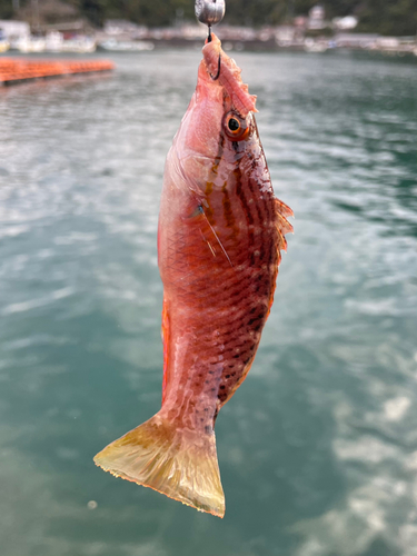 行野浦漁港