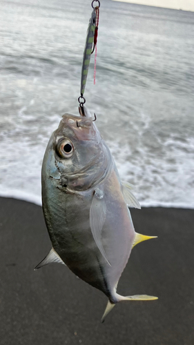 七里ヶ浜