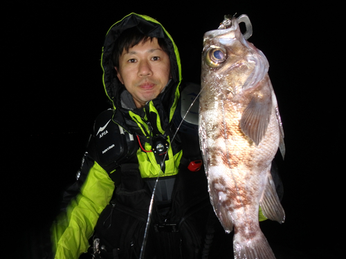 伊勢湾湾奥