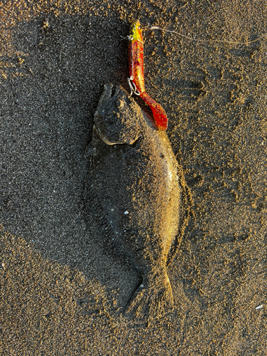 辻堂海浜公園前