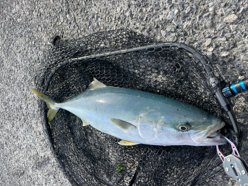 三陸海岸（岩手）