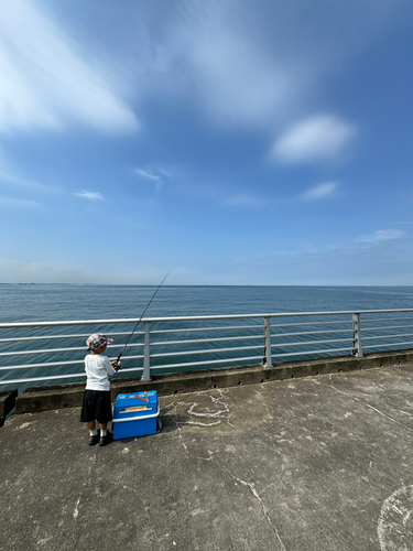 検見川浜突堤