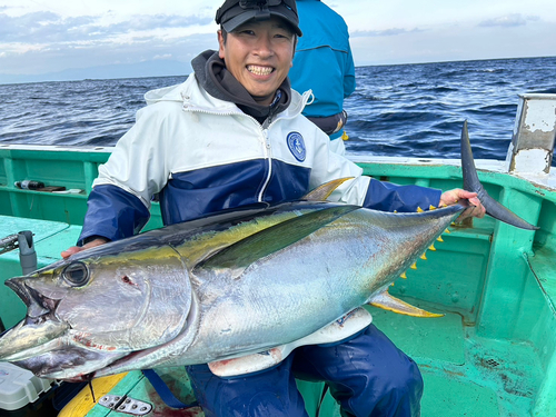 キハダマグロの釣果