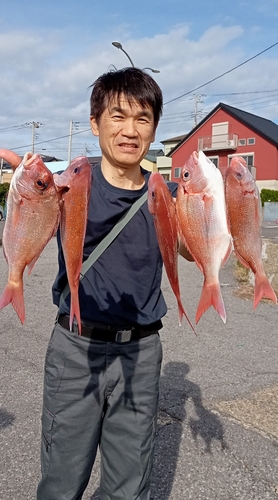 ハナダイの釣果