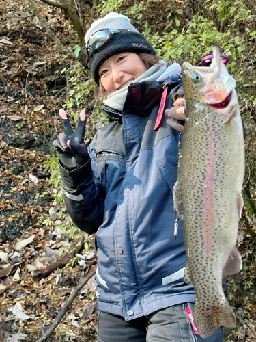 ヤマメの釣果