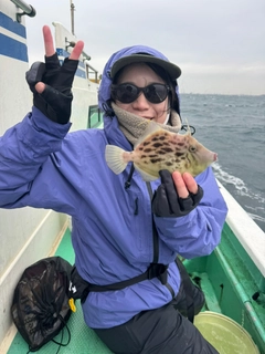 カワハギの釣果