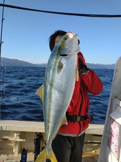 ブリの釣果