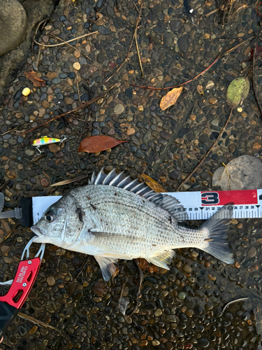 表浜名湖