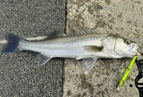 那珂湊港