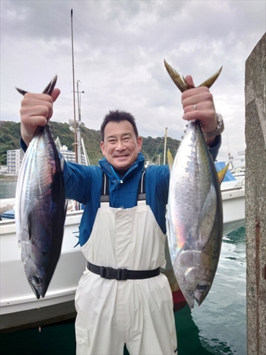 カツオの釣果