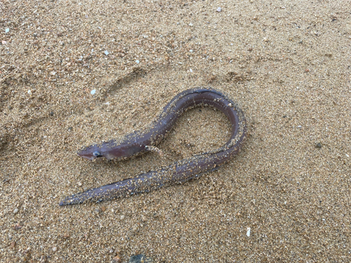 牛窓海水浴場