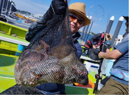 マダコの釣果