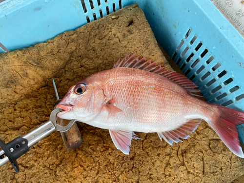 明石海峡