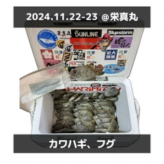 カワハギの釣果