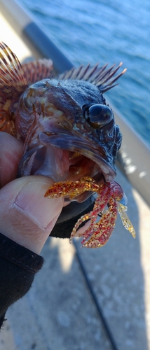 金沢水際線緑地（福浦岸壁）