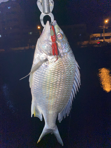 根岸湾