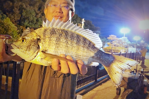 碧南海釣り公園