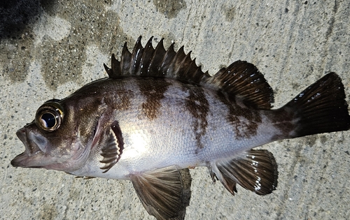 気仙沼湾