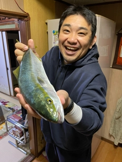 ヤズの釣果