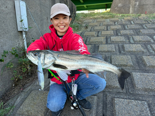 常陸利根川