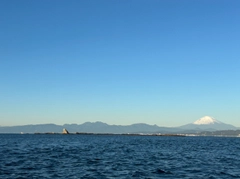 カワハギの釣果