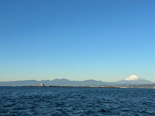 カワハギの釣果