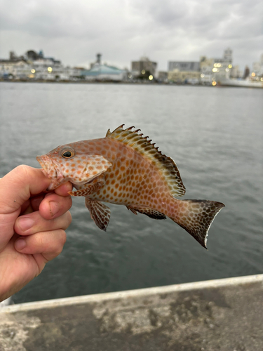 巴川河口