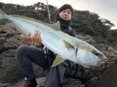 ヒラマサの釣果